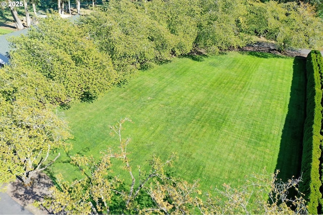 aerial view featuring a rural view