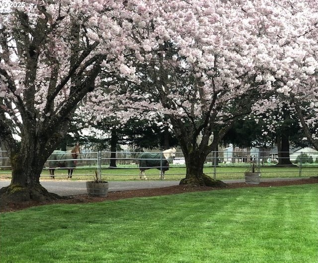 view of property's community with a lawn