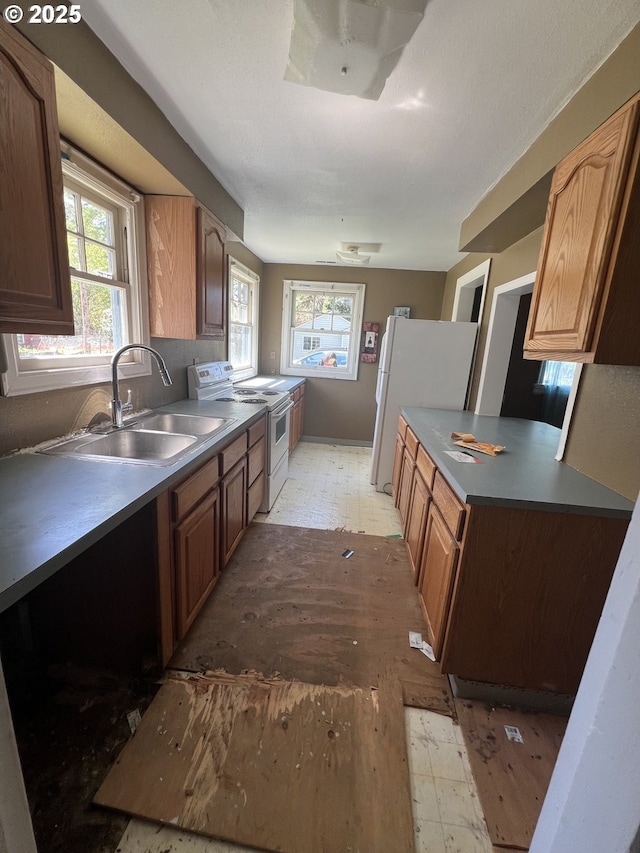 kitchen featuring a sink, plenty of natural light, and white appliances