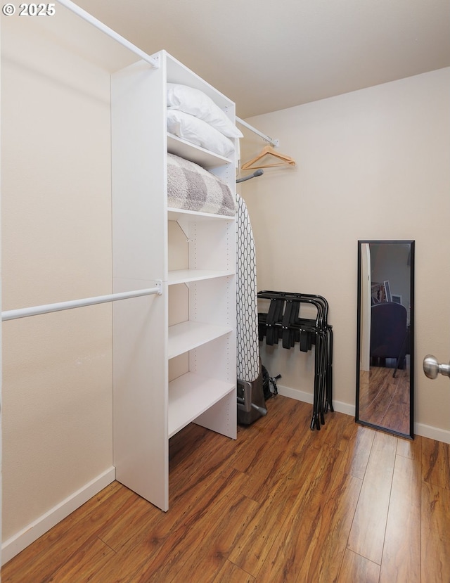 spacious closet with hardwood / wood-style floors