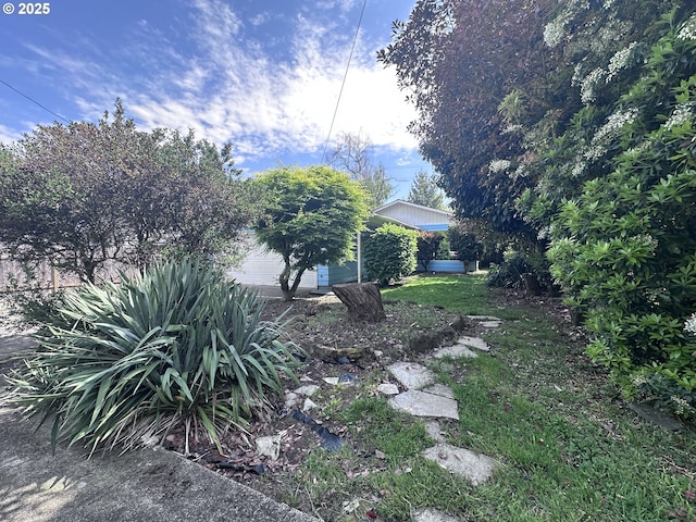 view of yard