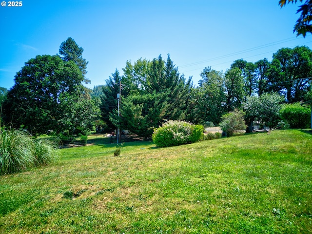 3034 Fisher Rd, Roseburg, OR 97471 - view of green lawn