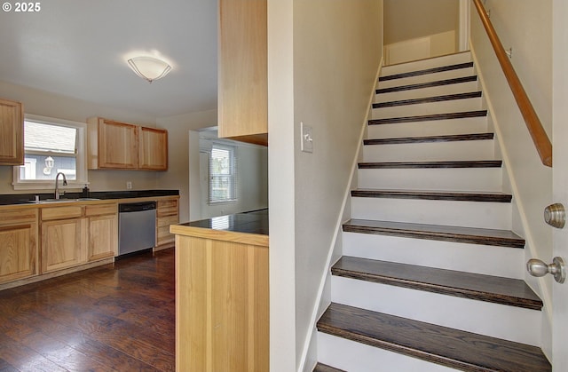 stairs featuring wood finished floors