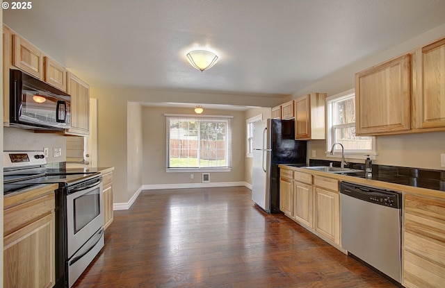 kitchen with a healthy amount of sunlight, light brown cabinets, stainless steel appliances, and a sink