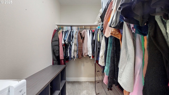 spacious closet featuring light carpet