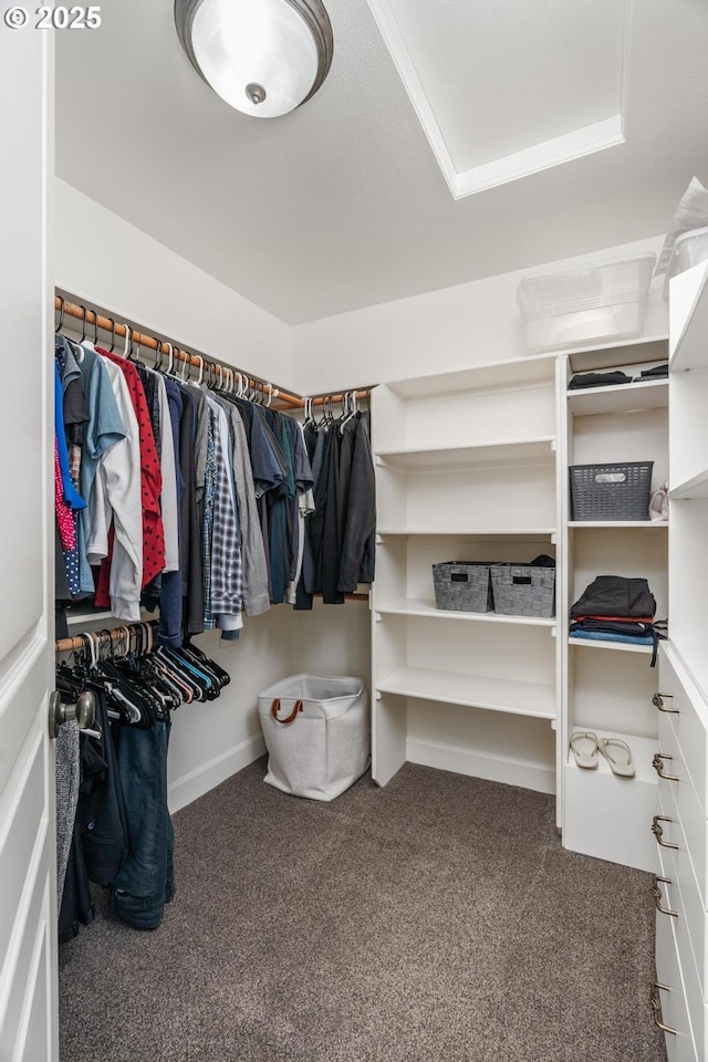 spacious closet with carpet