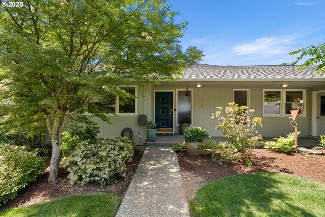entrance to property featuring a shingled roof and covered porch