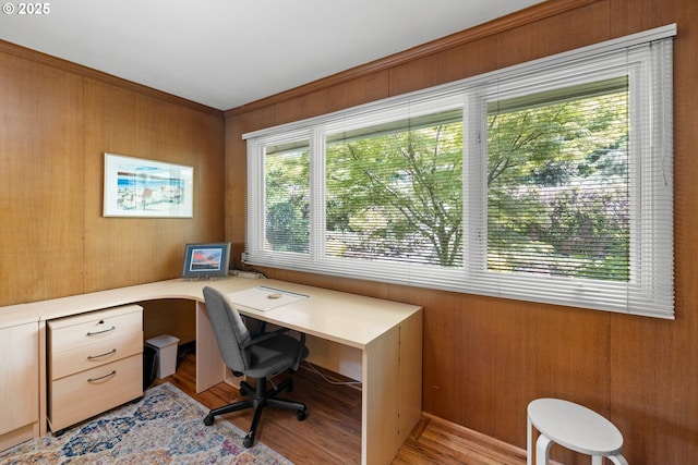 office area featuring wood finished floors and wood walls