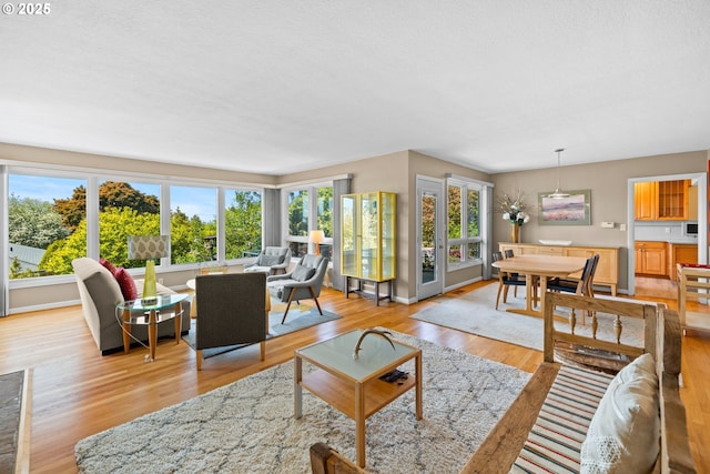 living room with light wood-type flooring