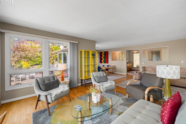 living room with baseboards and wood finished floors