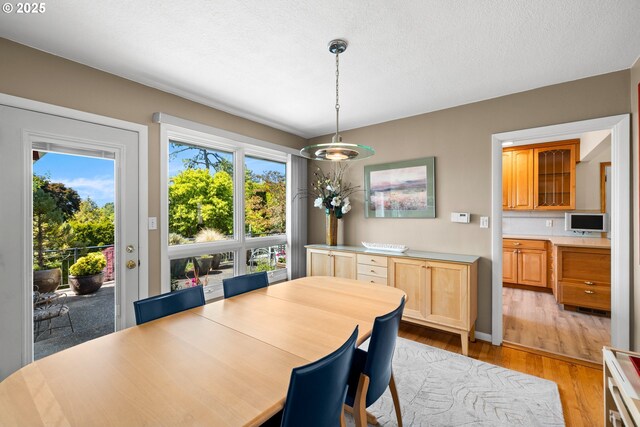 dining room featuring light wood finished floors and plenty of natural light