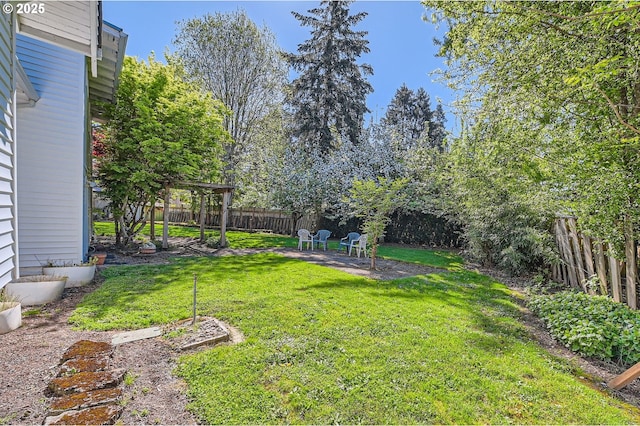view of yard featuring a fenced backyard and a patio area