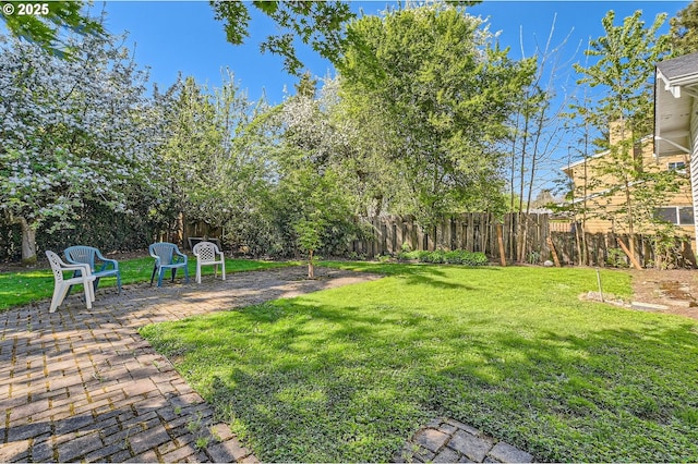 view of yard with a fenced backyard and a patio area