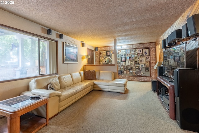 living room with a textured ceiling and carpet