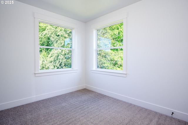 empty room with baseboards and carpet