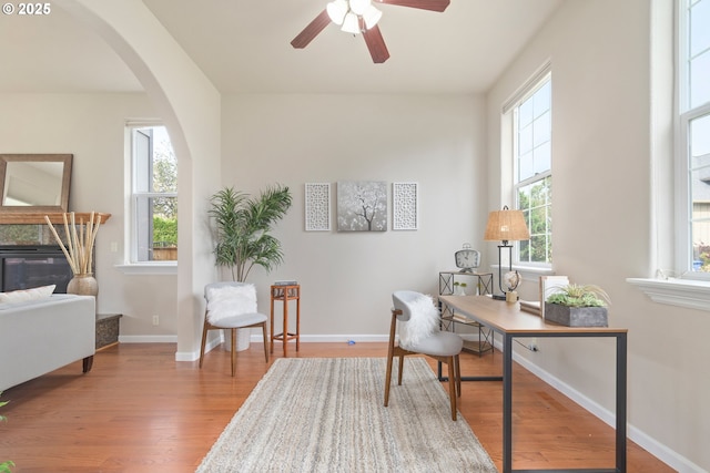 office space with light hardwood / wood-style floors and ceiling fan