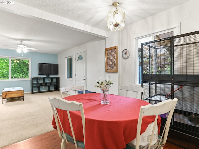 carpeted dining room with baseboards, ceiling fan with notable chandelier, and a textured ceiling