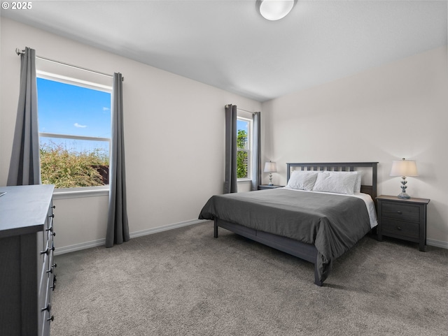 1053 Winfield St NE, Gervais, OR 97026 - carpeted bedroom with baseboards
