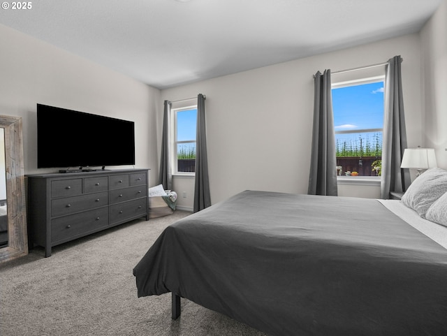 1053 Winfield St NE, Gervais, OR 97026 - view of carpeted bedroom