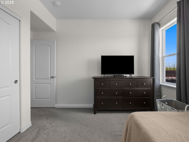 1053 Winfield St NE, Gervais, OR 97026 - bedroom with carpet flooring and baseboards