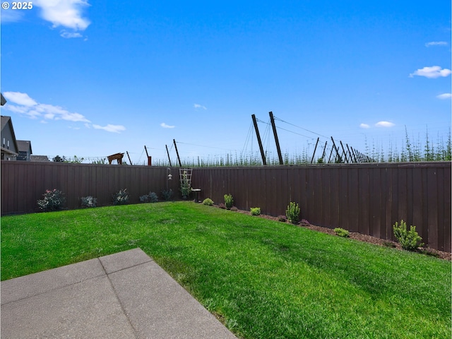 1053 Winfield St NE, Gervais, OR 97026 - view of yard
