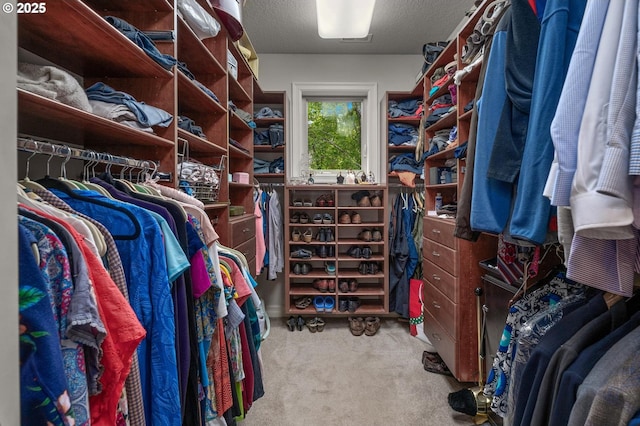 spacious closet with carpet