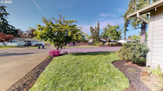 view of yard with a residential view