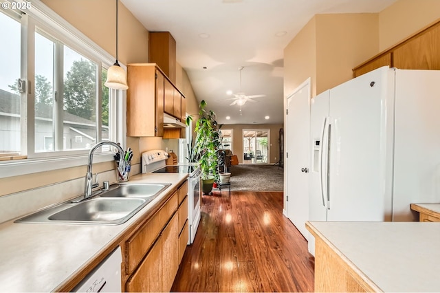 15619 NE Hickory St, Vancouver, WA 98682 - kitchen featuring white appliances, a ceiling fan, dark wood-style flooring, under cabinet range hood, and light countertops