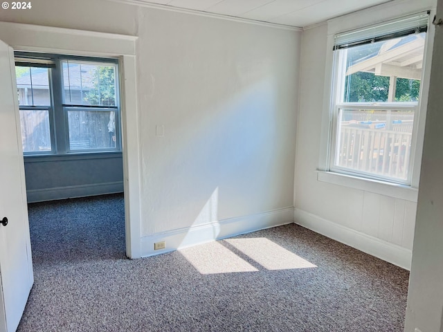 unfurnished room with carpet, a healthy amount of sunlight, and baseboards