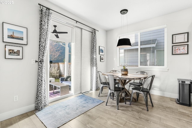 dining room with ceiling fan, a healthy amount of sunlight, and light wood-type flooring