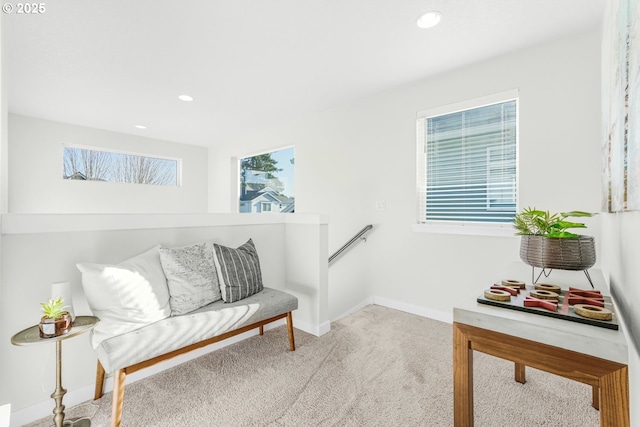 living area featuring carpet flooring