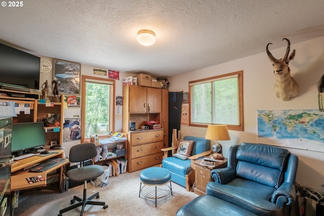 11874 Riverhaven Ln, Stayton, OR 97383 - office space featuring a textured ceiling and carpet