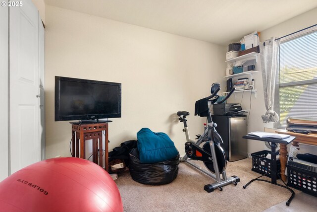 exercise area featuring carpet floors