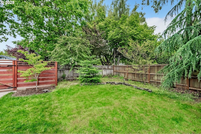 912 Van Buren St, Eugene, OR 97402 - view of yard