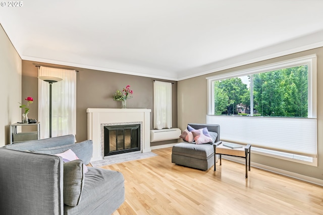 912 Van Buren St, Eugene, OR 97402 - living area featuring light wood-style flooring and a fireplace with flush hearth