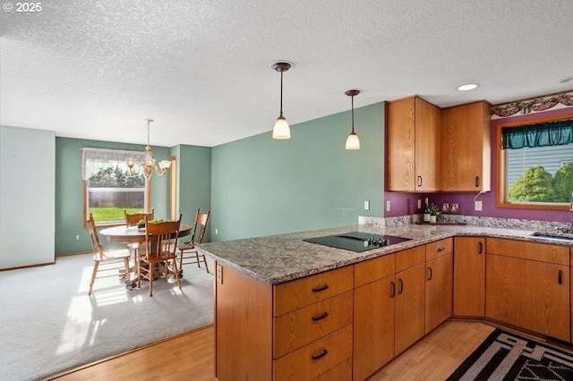 kitchen with black electric cooktop, a peninsula, hanging light fixtures, light stone countertops, and light wood finished floors