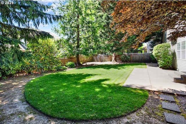 view of yard featuring a patio