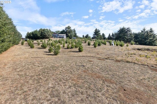 view of yard featuring a rural view