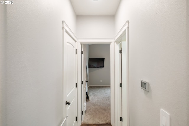 813 Pintail St, Silverton, OR 97381 - corridor featuring carpet and baseboards