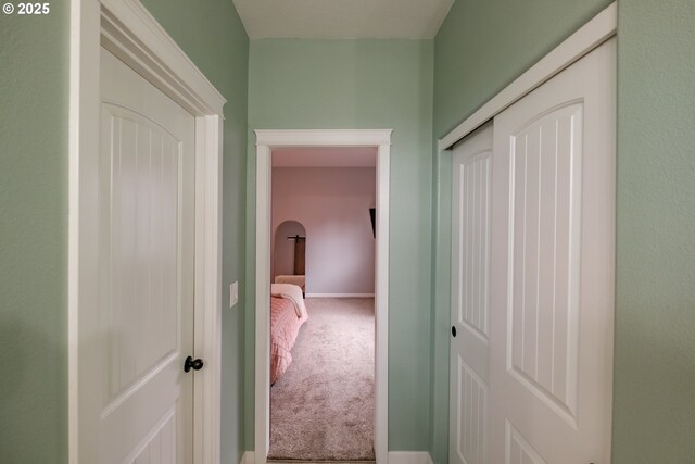 813 Pintail St, Silverton, OR 97381 - hallway with carpet flooring and baseboards