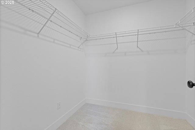 830 NE Buckthorn Dr, Estacada, OR 97023 - walk in closet with carpet floors