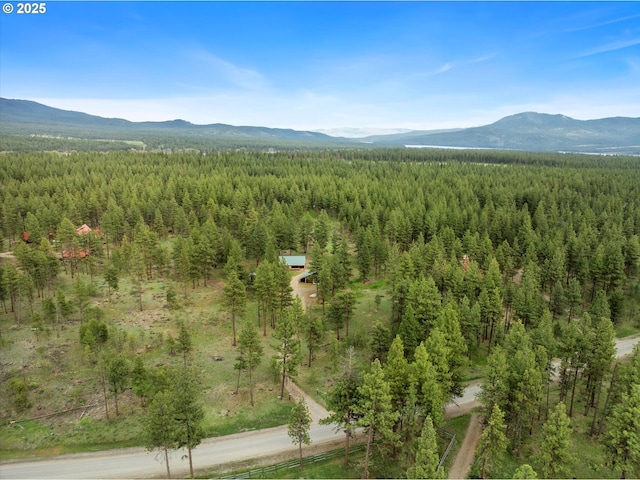 aerial view of a forest and a mountain backdrop