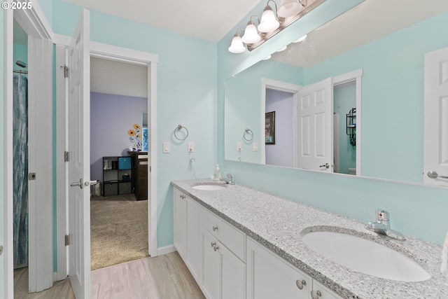 bathroom featuring double vanity, wood finished floors, baseboards, and a sink
