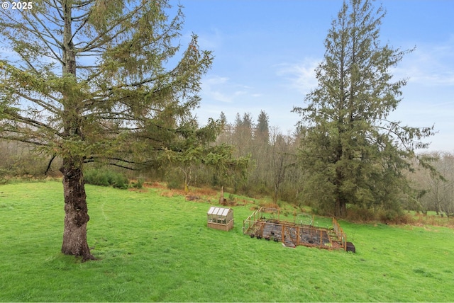 view of yard featuring a garden