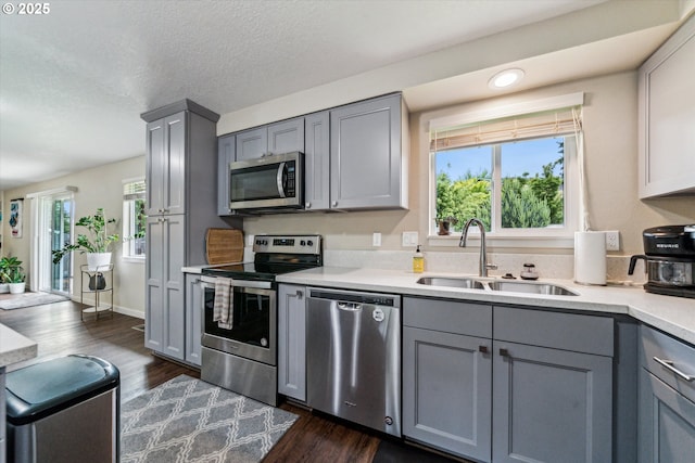 kitchen with appliances with stainless steel finishes, a sink, gray cabinetry, and a textured ceiling