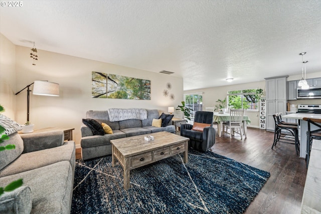 living area with dark wood-style flooring and a textured ceiling