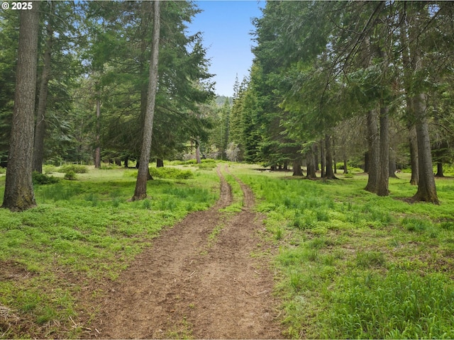 67388 Timberline Rd, Summerville, OR 97876 - view of dirt / gravel road featuring a wooded view