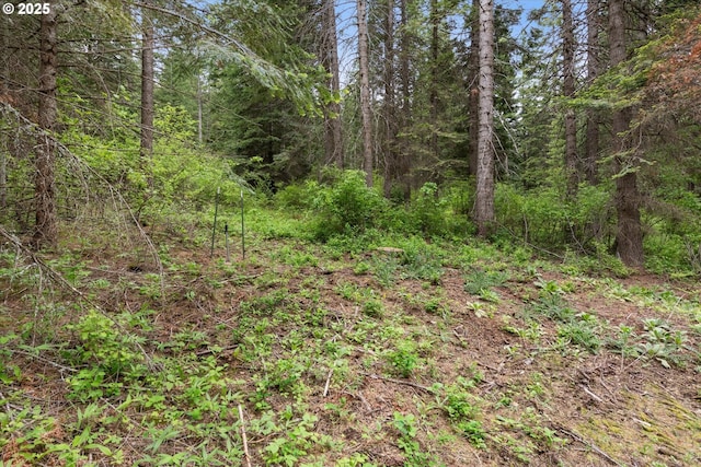 67388 Timberline Rd, Summerville, OR 97876 - view of tree filled area