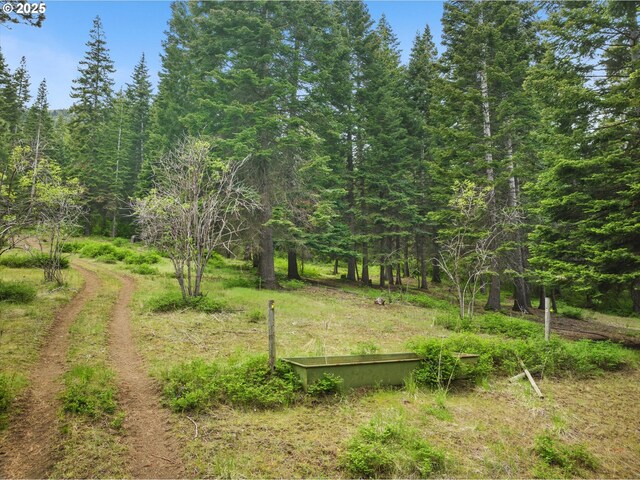 67388 Timberline Rd, Summerville, OR 97876 - view of yard with a wooded view