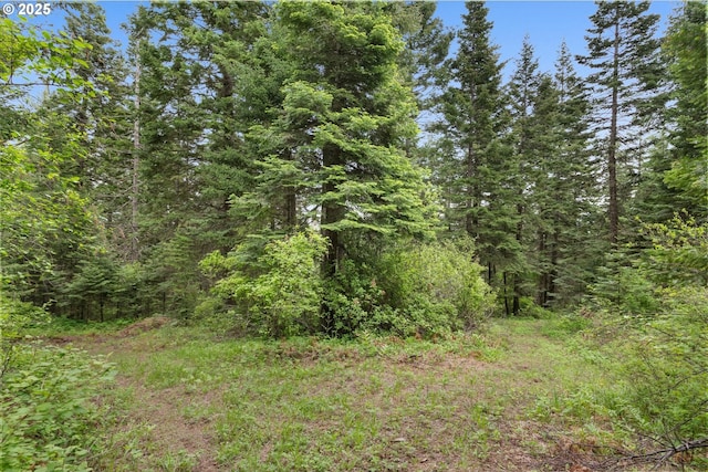 67388 Timberline Rd, Summerville, OR 97876 - view of wooded area